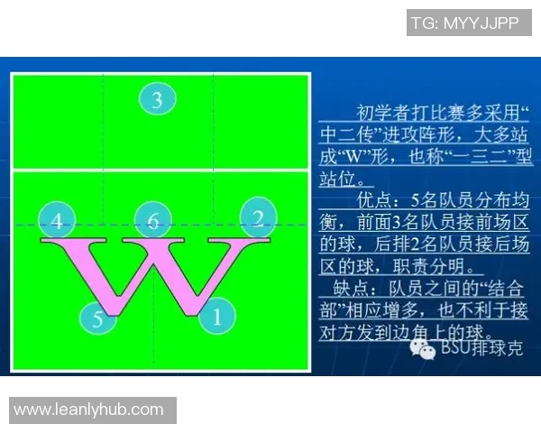 深圳排球队转换打法深度分析与战术创新探讨